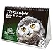 Tierzauber Eulen und Uhus · DIN A5 · Premium Kalender/Tischkalender 2019 · Vögel · Vogel · Fliegen · Wald · Natur · Tiere · Edition Seelenzauber by 
