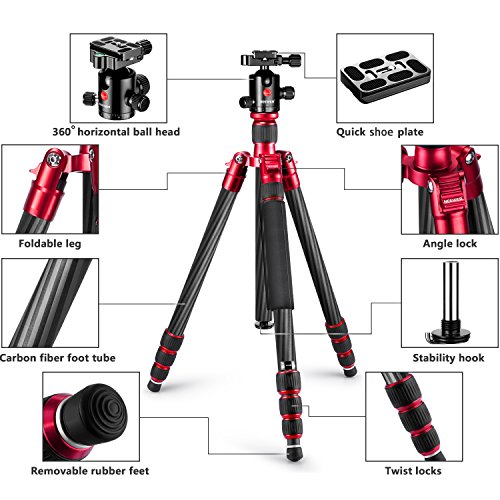 Neewer Trípode Fibra Carbono Monopié 160cm con 360 Degree Cabezal Rótula,Cabeza Vídeo Fluida,1/4
