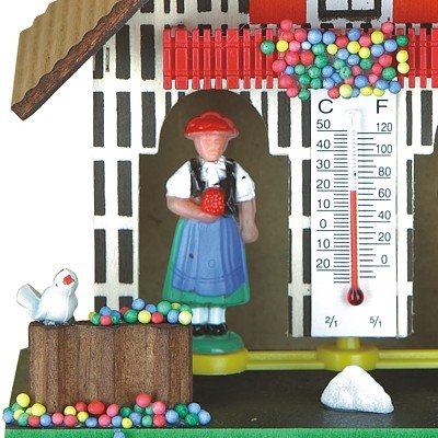 Wetterhaus aus dem Schwarzwald TU 805 - 3