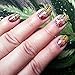 Bundle Monster 5pc Polynesian Themed Nail Art Design Rectangular XL Stamping Plates-Traditional Polynesia