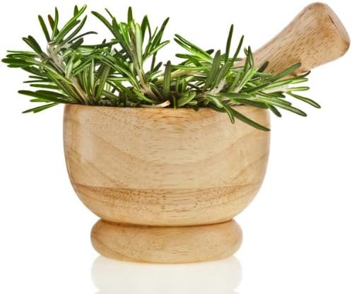 30 fresh rosemary seeds ROSMARINUS OFFICINALIS valuable spice and medicinal herb Fragrant