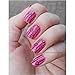 Born Pretty Nail Art Stamping Template Image Plate Chic Rose Flower