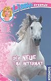Cover zum Buch Lissys Freunde: Der Neue im Internat
