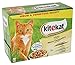 Produktbild Kitekat Pouch Multipack vlees in gelei kattenvoer 12X100 GR