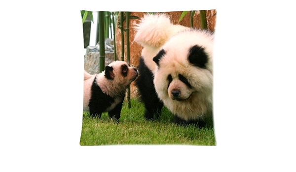 Chow Chow Panda Green Bamboo Tree Leaves Zippered Pillow Cases Cover Cushion Case 18x18 Inch Amazon De Kuche Haushalt Wohnen