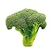 Produktbild QYL Simulation Von Pflanzlichen Plüschspielzeug Kissen Geburtstagsgeschenk 50-60Cm,Broccoli