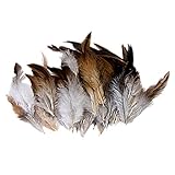 SODIAL(R) Natuerlich Dekoration Hahn Hahn Feder-Idee fuer Kostueme, Huete, Zuhause,Dekor,usw.