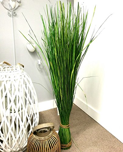 Gras Grasbündel im Garten Grasbund Deko Zweige Grasbüschel (70 cm)