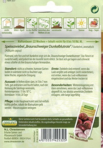 Chrestensen Speisezwiebel ‚Braunschweiger Dunkelblutrote‘ - 2
