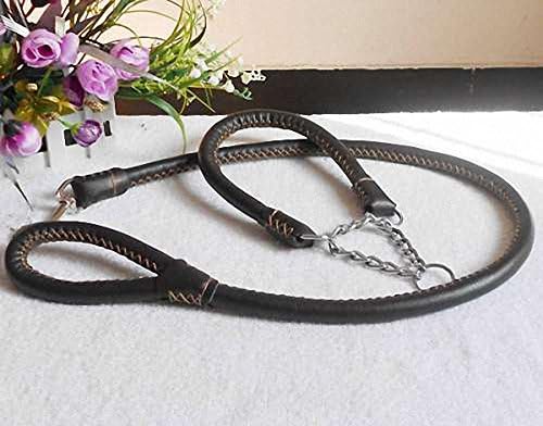 FourlegMate Handmade Leather Pet Sets: Braid Training Leash + Cushioning Martingale Collar