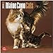 Maine Coon Cats 2014 - Hundekatzen: Original BrownTrout-Kalender [Mehrsprachig] [Kalender] by 