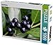 Produktbild Kirschlorbeer 1000 Teile Puzzle quer