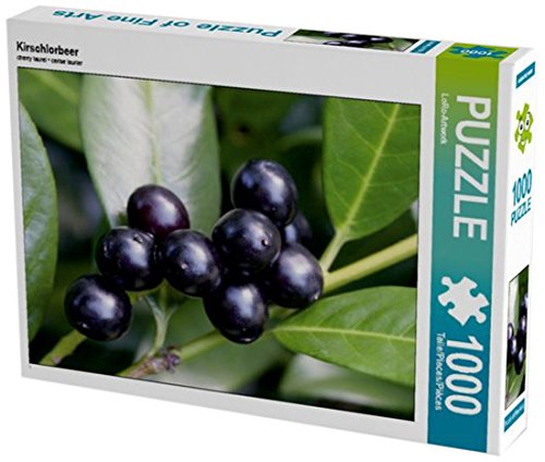 Preisvergleich Produktbild Kirschlorbeer 1000 Teile Puzzle quer