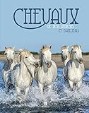 CHEVAUX DE NOS REGIONS ET D'AILLEURS