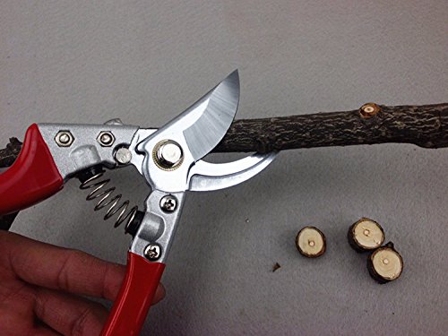 Gartenschere – Smaier Hand Schneide Schere zum Schneiden von Hecken, Unkraut, Rasen und zum Gras Schneiden Rosenschere ideal für professionelle Gartenarbeiten – Ergonomischer Griff - 3