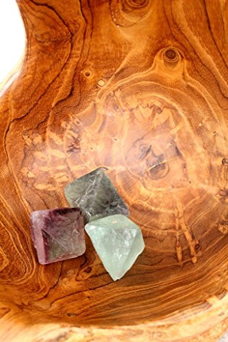 WINDALF Rustikale Holz Schale ~ FENJA ~ h: 19 cm – Handgearbeitet – vielseitig verwendbar – Wurzelholz (s190) - 8