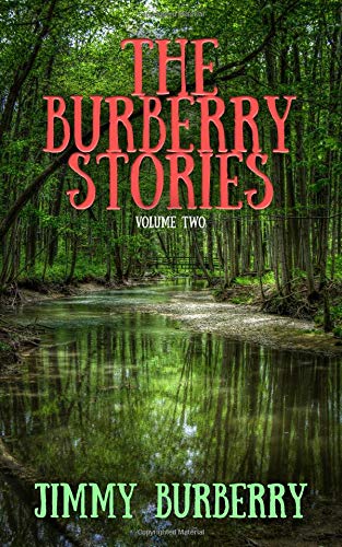 Preisvergleich Produktbild The Burberry Stories - Volume Two