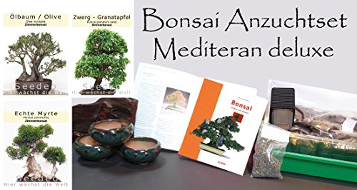 Seedeo Bonsai Anzuchtset Mediteran deluxe (Echte Myrte, Ölbaum, Zwerg Granatapfel)