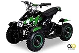 Mini Elektro Kinder ATV Cobra 800 Watt Pocket Quad (grün)