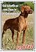 Produktbild Hundeschild Magyar Vizsla - hochwertiges Alu Schild - wetterfest - uv-beständig, DIN A5