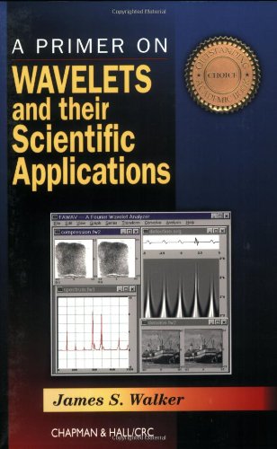 A Primer on Wavelets and Their Scientific Applications livre