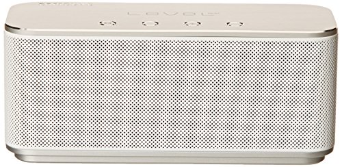 Preisvergleich Produktbild SAMSUNG Level Box mobiler Lautsprecher Verarbeitun