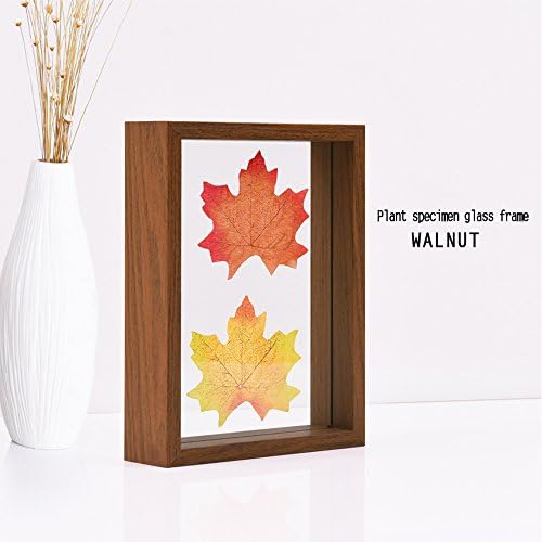 Transparent Glass Double-sided Frame, Hand-made Three-dimensional Plant Specimen Pictures Frame
