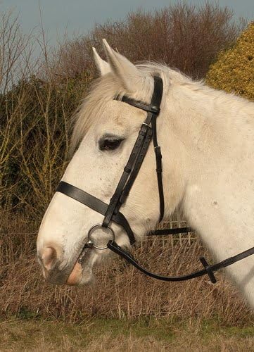 Heritage English Leather Horses Hunter Style Bridle