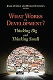 Image de What Works in Development?: Thinking Big and Thinking Small