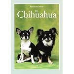 Il-chihuahua