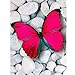 Produktbild Diamantmalerei, Holeider 5D Stickerei Gemälde Rhinestone pastete DIY Kreuzstich Simulation Schmetterlinge B