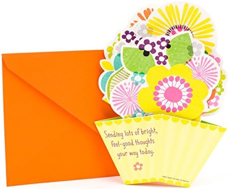 Hallmark Get Well Card (Pop Up Flowers)
