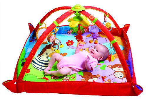 Tiny Love Spieldecke Gymini Move & Play - 3