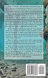 Image de Bases de buceo: Iníciate correctamente en el buceo