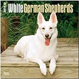 White German Shepherds 2014 - Weiße Schäferhunde: Original BrownTrout-Kalender [Mehrsprachig] [Kalender] by 