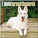 White German Shepherds 2014 - Weiße Schäferhunde: Original BrownTrout-Kalender [Mehrsprachig] [Kalender] by 