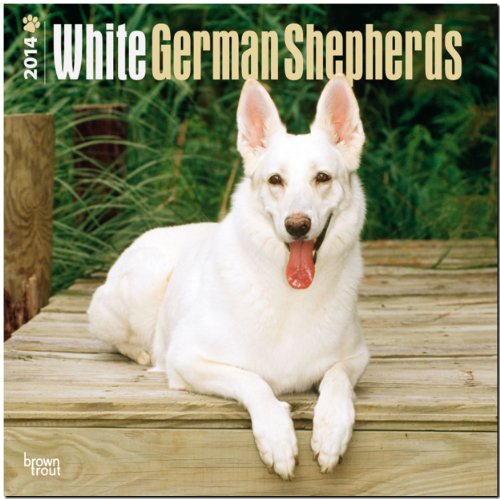 White German Shepherds 2014 - Weiße Schäferhunde: Original BrownTrout-Kalender [Mehrsprachig] [Kalender]