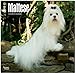 Maltese 2015 - Malteser: Original BrownTrout-Kalender [Mehrsprachig] [Kalender] by 