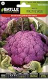 Semillas hortícolas de Batlle - Bróculi Violet de Sicile (4g)