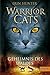 Warrior Cats. Geheimnis des Waldes: I, Band 3 by Erin Hunter, Klaus Weimann