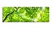 Produktbild PIX Visions Leinwand Bild Bilder Natur Wald Baum Licht grün Äste Sonnenstrahl hell Bäume Leinwandbilder Panorama Sonne Äste Zweige Licht (90x30)