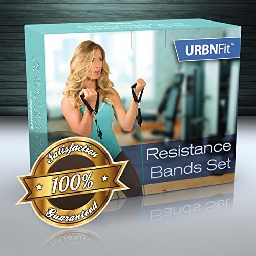 Resistance Bands Set with Door Anchor, Ankle Strap, Exercise Guide, and Carying Case (Pro Series) - 4