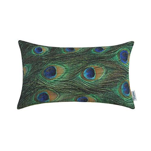 Euphoria Hauptdekor Kissenbezüge Kissen Baumwoll Leinen Mischung Pfauenfeder Druck 30cm X 50cm