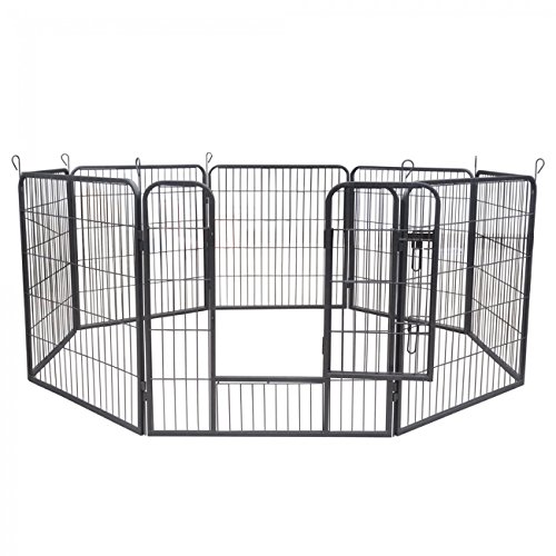 ZOOMUNDO-puppy-area-big