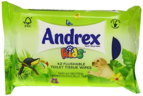 Andrex Moist Toilet Tissue Kids Refill 42 Sheets - Pack of 12