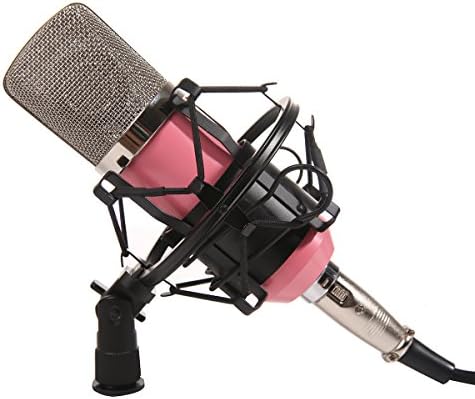 Dolotu BM Series Dynamic Condenser Microphone Sound Studio Recording Mic+ Shock Mount + Microphone Windshield- Professional Studio Broadcasting &amp; Recording Microphone SetEnjoying Singing Speaking High Party (BM700, Pink)