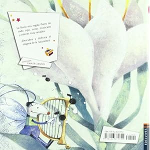 Lluvia de sonidos y colores (Caja de Cuentos)