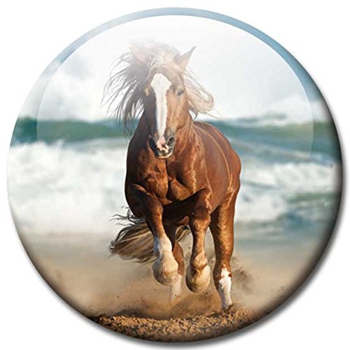 Magnettafel Pferd am Meer – Faszinierende Design Metall Magnettafel 60×40 cm – Pinnwand Memoboard mit Motiv: Pferd am Meer Ocean Horse – inkl. 6 Magnete Pferde am Meer Ocean Horses für Magnetwand – Original Magnetpinnwand GUMA Magneticum - 4