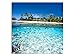 Produktbild Südsee Insel Fische! Keilrahmen! Wandbilder! Leinwandbilder quadratisch A05824 Größe 30 x 30 cm
