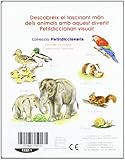 Image de Animals (Petits Diccionaris) (Petitdiccionaris)